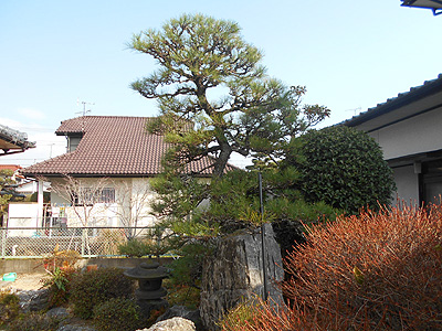 20190125_b